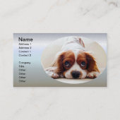 Cavalier King Charles Spaniel Visitekaartje (Voorkant)