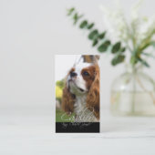 Cavalier King Charles Spaniel Visitekaartjes (Staand voorkant)