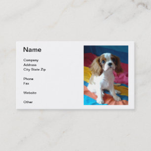 Cavalier King Charles Spaniel Visitekaartjes