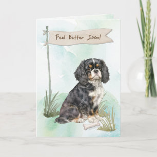 Cavalier King Charles Spaniel Voel je beter Chirur Kaart