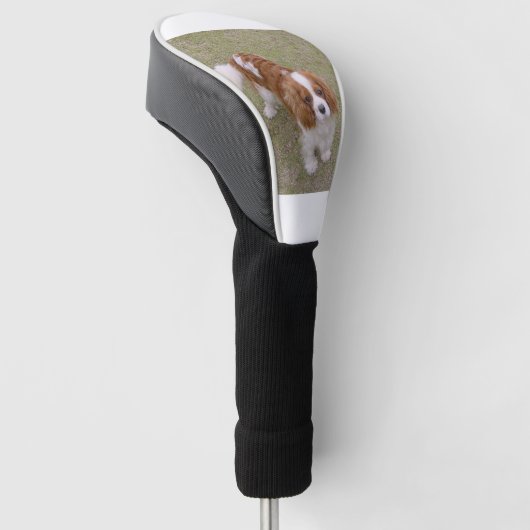 Cavalier-king-charles-spaniel, vol golfheadcover (Schuin)