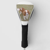 Cavalier-king-charles-spaniel, vol golfheadcover (Voorkant)