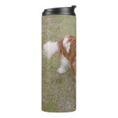 Cavalier-king-charles-spaniel, vol thermosbeker (Gedraaid links)