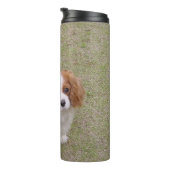 Cavalier-king-charles-spaniel, vol thermosbeker (Geroteerd rechts)