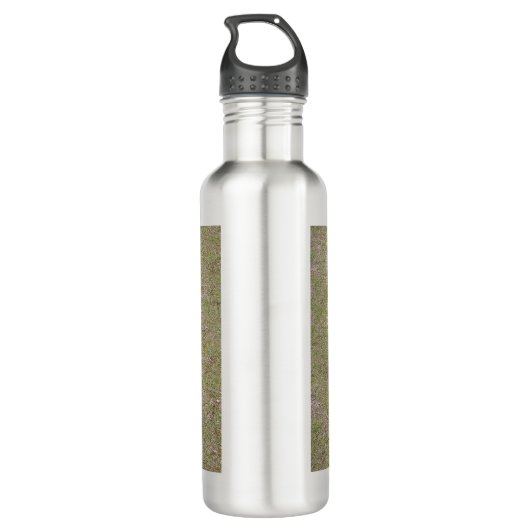 Cavalier-king-charles-spaniel, vol waterfles (Achterkant)