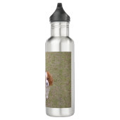 Cavalier-king-charles-spaniel, vol waterfles  (Rechts)