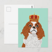 Cavalier King Charles Spaniel voor Hondenliefhebbe Briefkaart (Voorkant / Achterkant)