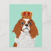 Cavalier King Charles Spaniel voor Hondenliefhebbe Briefkaart (Voorkant)