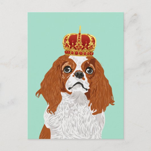 Cavalier King Charles Spaniel voor Hondenliefhebbe Briefkaart (Voorkant)