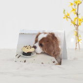Cavalier King Charles Spaniel Vrijdag Cupcake Kaart (Gele Bloem)