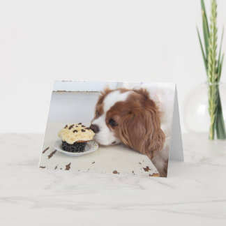 Cavalier King Charles Spaniel Vrijdag Cupcake Kaart