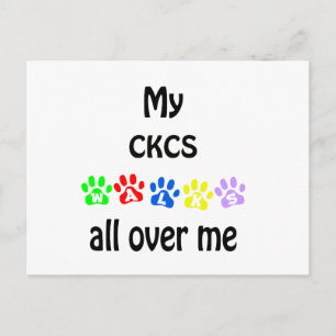 Cavalier King Charles Spaniel wandelingen ontwerp Briefkaart