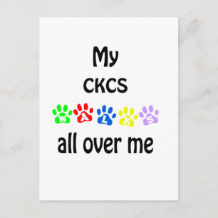 Cavalier King Charles Spaniel wandelingen ontwerp Briefkaart