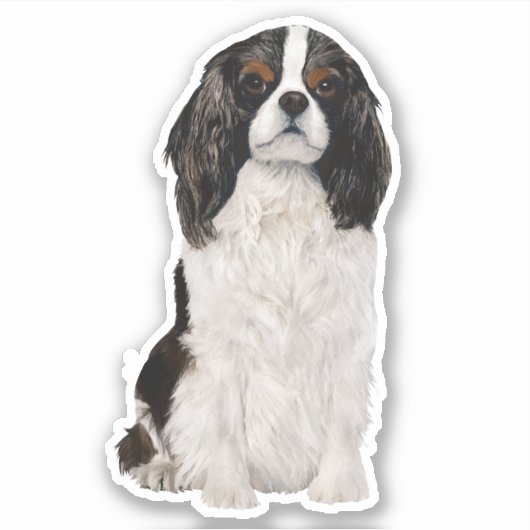 Cavalier King Charles Spaniel Waterverf Sticker (Voorkant)