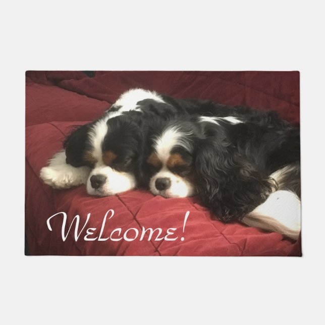Cavalier King Charles Spaniel Welkomstdeur Mat (Voorkant)