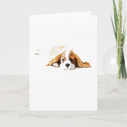 Cavalier King Charles Spaniel Wenskaart, Cadeau Kaart (Voorkant)
