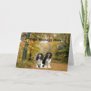 Cavalier King Charles Spaniel Wenskaart Feestdagen Kaart