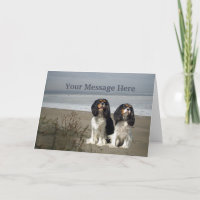 Cavalier King Charles Spaniel Wenskaart