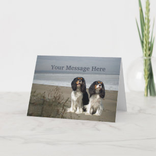 Cavalier King Charles Spaniel Wenskaart Feestdagen Kaart
