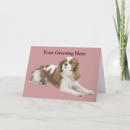 Cavalier King Charles Spaniel Wenskaart Kaart (Voorkant)