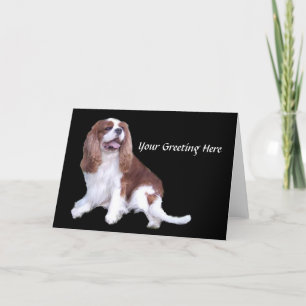 Cavalier King Charles Spaniel Wenskaart Kaart