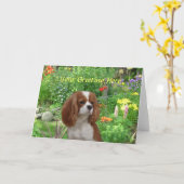 Cavalier King Charles Spaniel Wenskaart Kaart (Gele Bloem)