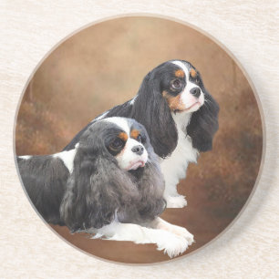 Cavalier King Charles Spaniel Zandsteen Onderzetter