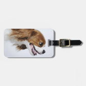 Cavalier King Charles Spaniel, zijaanzicht Bagagelabel (Voorkant horizontaal)