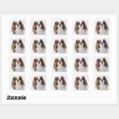 Cavalier King Charles Spaniel zit in studio Vierkante Sticker (Vel)