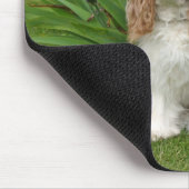 Cavalier King Charles Spaniels in Iris Garden Muismat (Hoek)