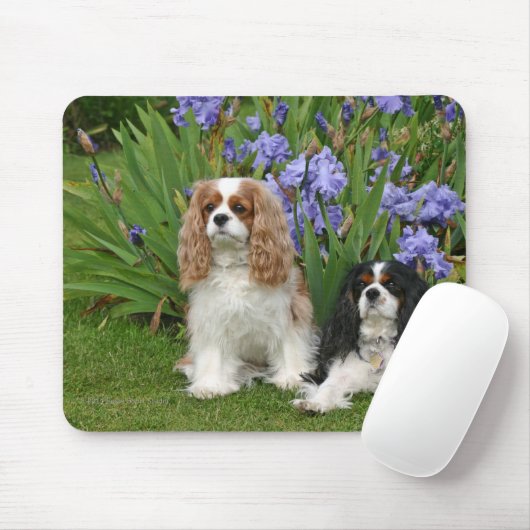 Cavalier King Charles Spaniels in Iris Garden Muismat (Met muis)