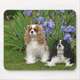 Cavalier King Charles Spaniels in Iris Garden Muismat