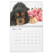 Cavalier King Charles Spaniels Kalender (Feb 2026)