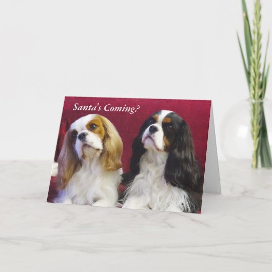 Cavalier King Charles Spaniels Kerst Kaart (Voorkant)
