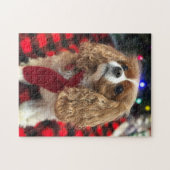 Cavalier King Charles Spaniels Met Winter Sjaal Legpuzzel (Horizontaal)