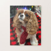 Cavalier King Charles Spaniels Met Winter Sjaal Legpuzzel (Verticaal)