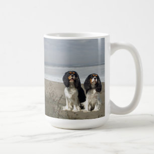 Cavalier King Charles Spaniels over de Mok van de 
