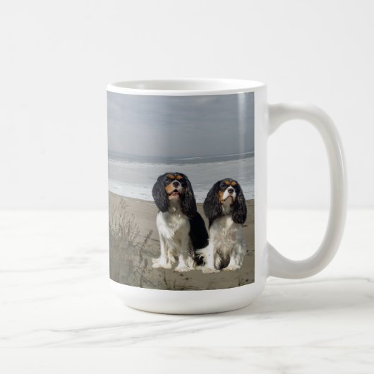 Cavalier King Charles Spaniels over de Mok van de  (Rechts)