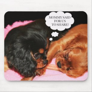 Cavalier King Charles Spaniels Puppies Muismat