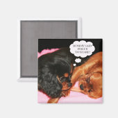 Cavalier King Charles Spaniels Puppy Magneet (Voorkant / Achterkant)