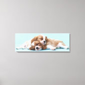 Cavalier King Charles Spaniels Sleeping Canvas Afdruk (Voorkant)