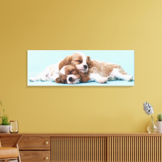 Cavalier King Charles Spaniels Sleeping Canvas Afdruk (Insitu (Woonkamer))