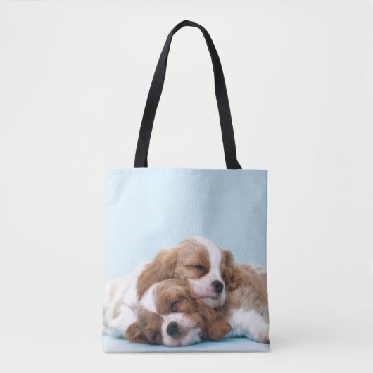 Cavalier King Charles Spaniels Sleeping Tote Bag (Voorkant)