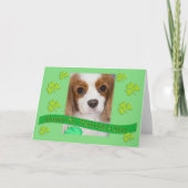 Cavalier King Charles Spaniels St. Patrick's Day Kaart (Voorkant)