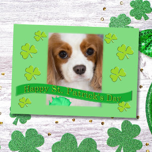 Cavalier King Charles Spaniels St. Patrick's Day Kaart
