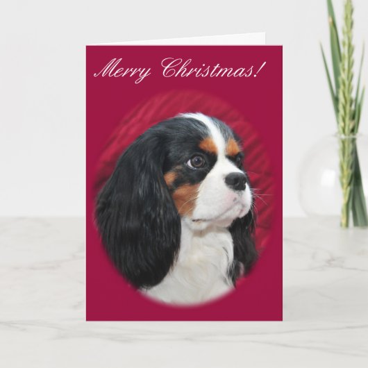 Cavalier King Charles Tri-Color Christmas Kaart (Voorkant)