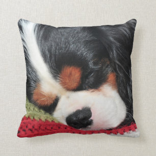Cavalier King Charles Tri-Color Pillow Kussen