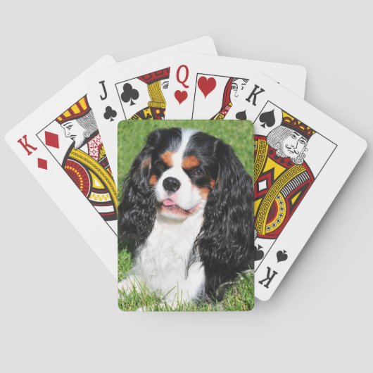 Cavalier King Charles Tri-Color-speelkaarten Pokerkaarten (Achterkant)