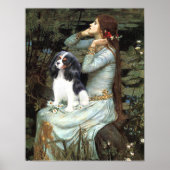 Cavalier King Charles (tri-kleur) - Ophelia Seated Poster (Voorkant)