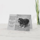 Cavalier King Charles troostkaart Kaart (Voorkant)